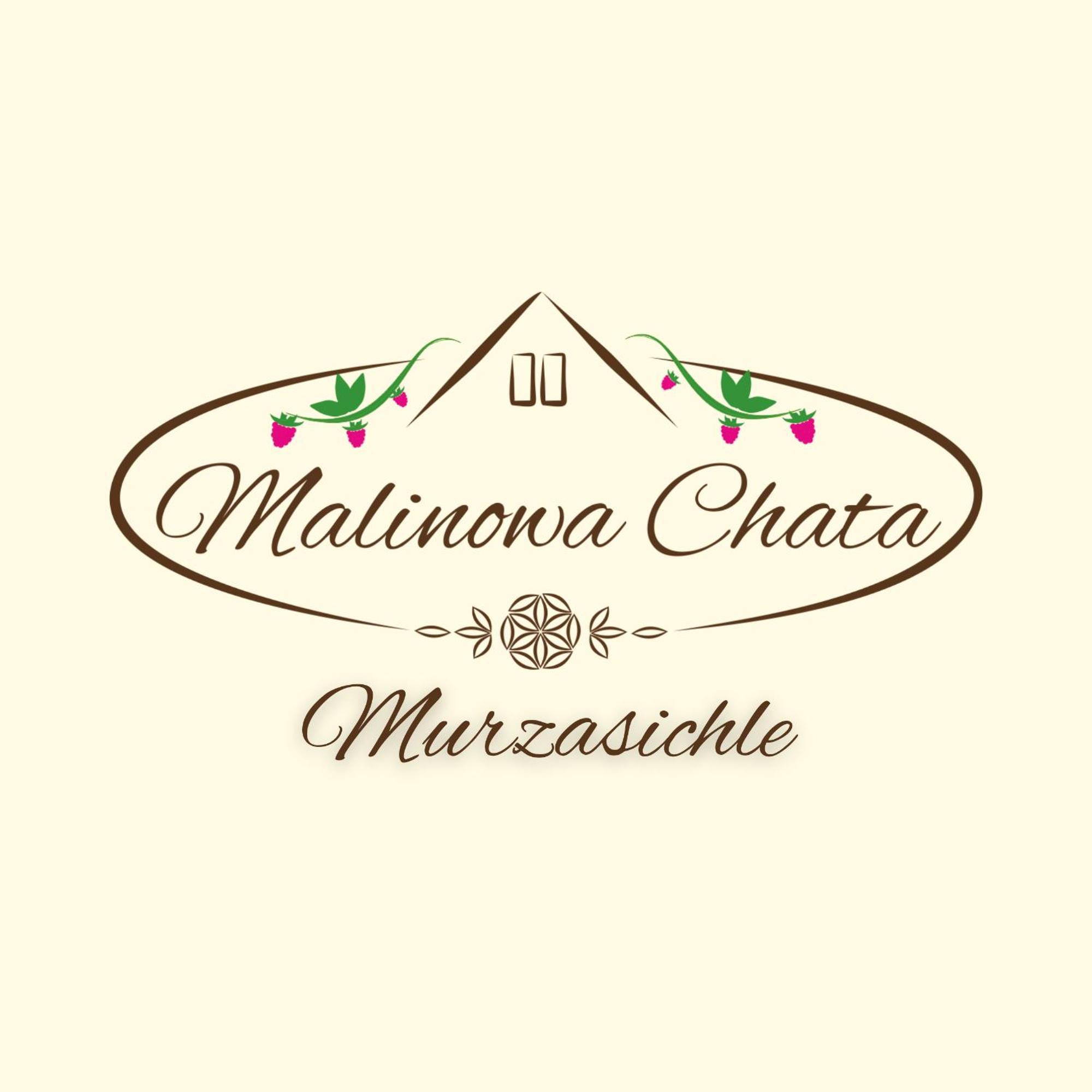 Malinowa Chata Murzasichle Apartment Екстериор снимка